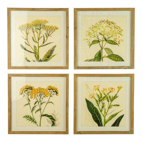 Flower Print Square Framed Art Set of 4