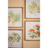 Flower Prints Framed Art Set of 4