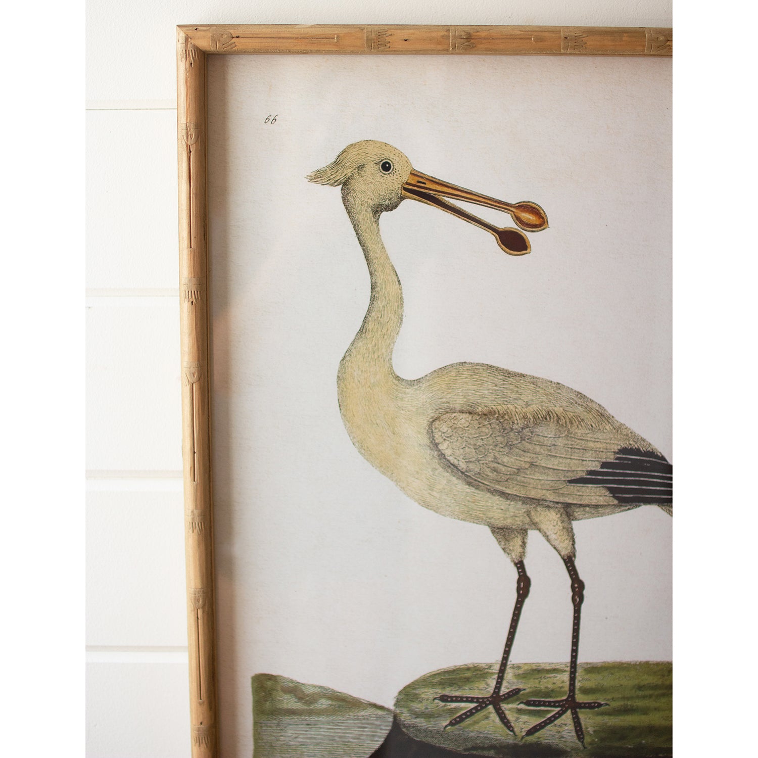 Shorebird Framed Art Set of 2
