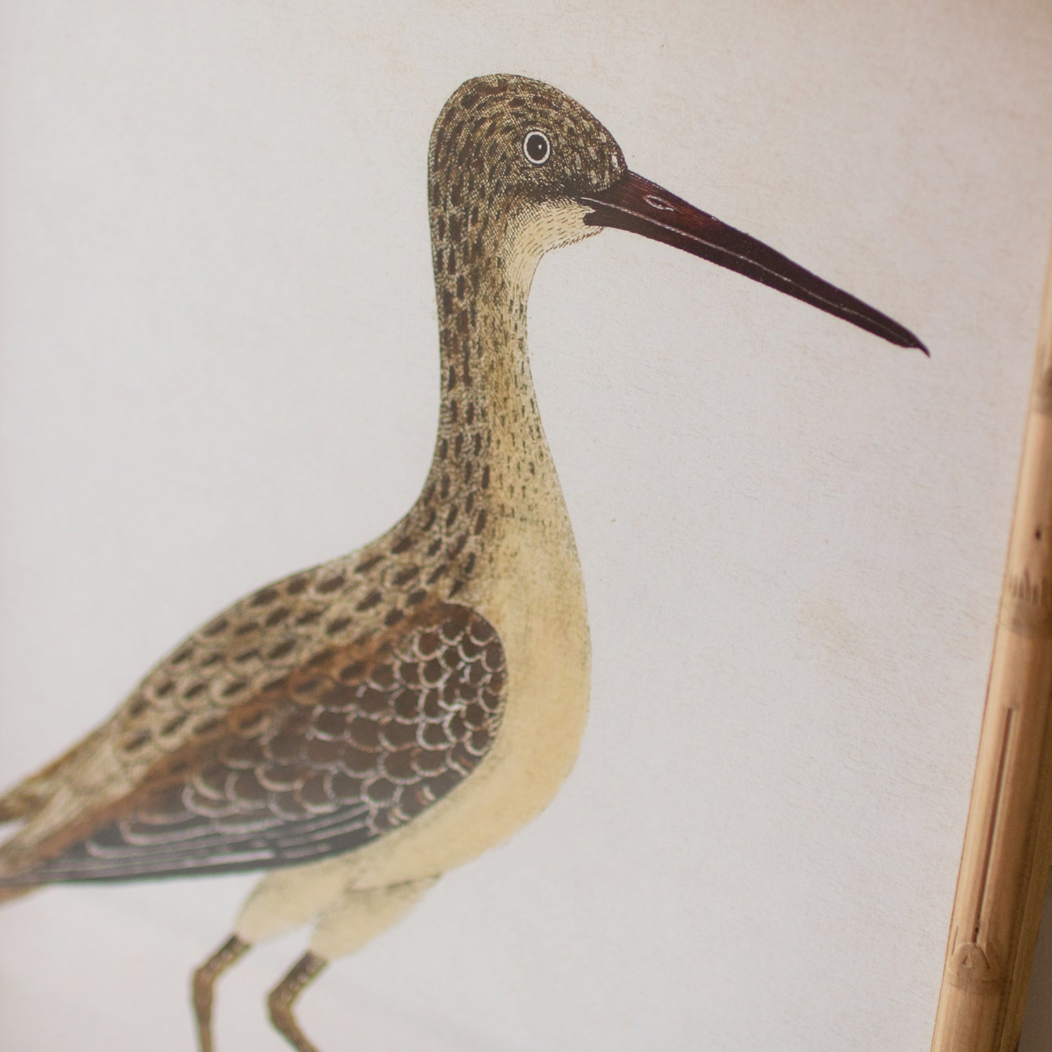 Shorebird Framed Art Set of 2