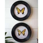 Round Butterfly Wall Art Set of 4