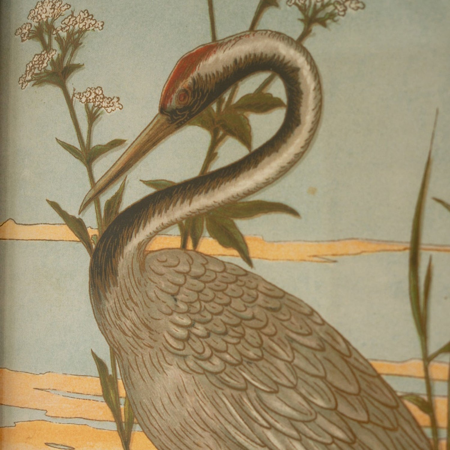 Heron Prints Framed Artwork Set of 2