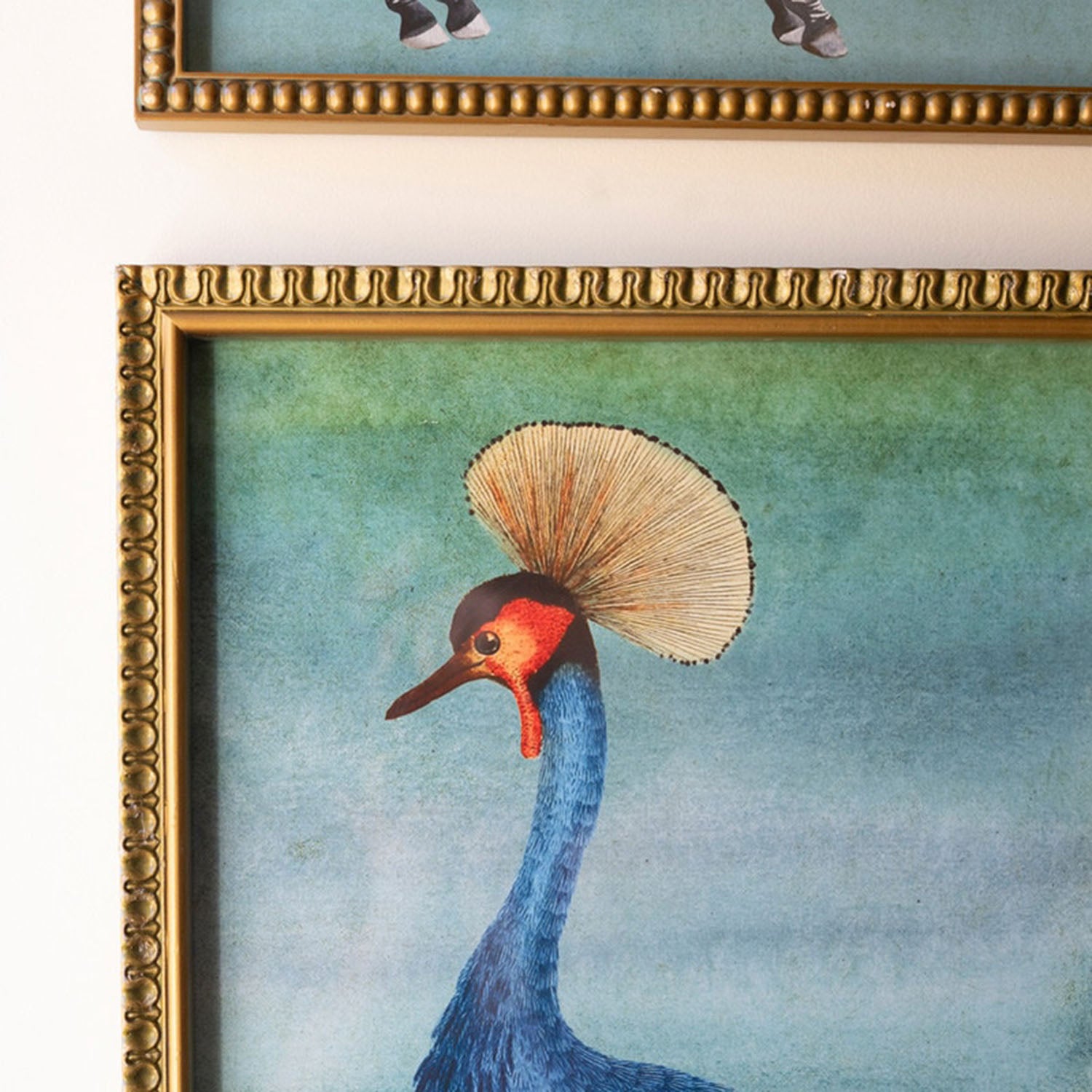 Exotic Animal Framed Artwork Set of 4