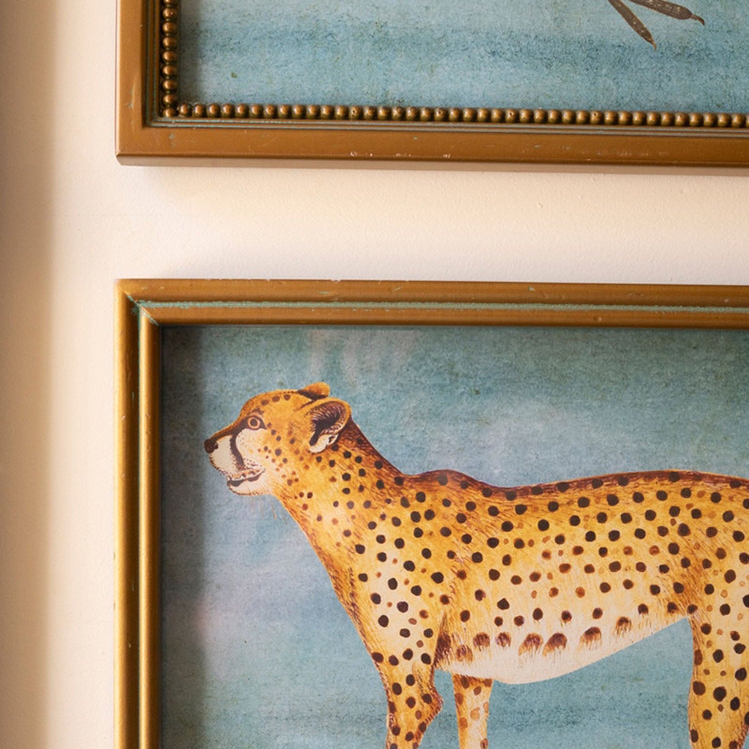 Exotic Animal Framed Artwork Set of 4