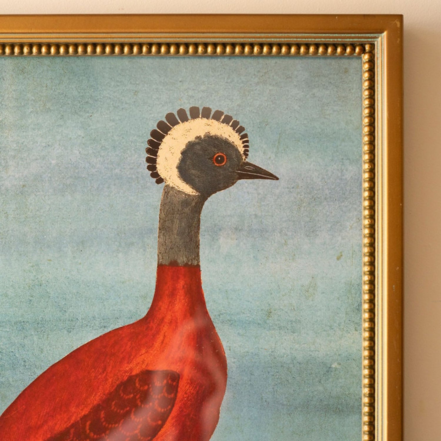 Exotic Animal Framed Artwork Set of 4