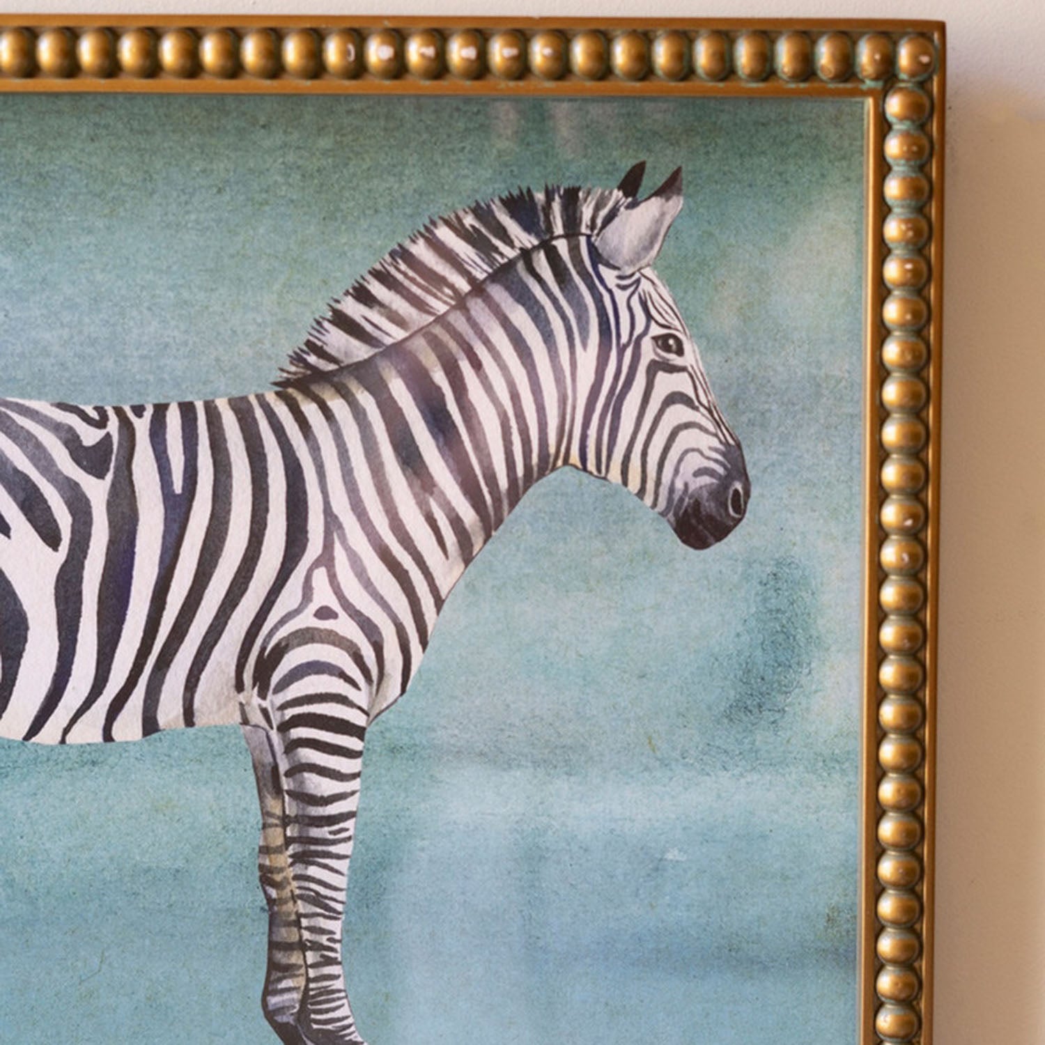 Exotic Animal Framed Artwork Set of 4