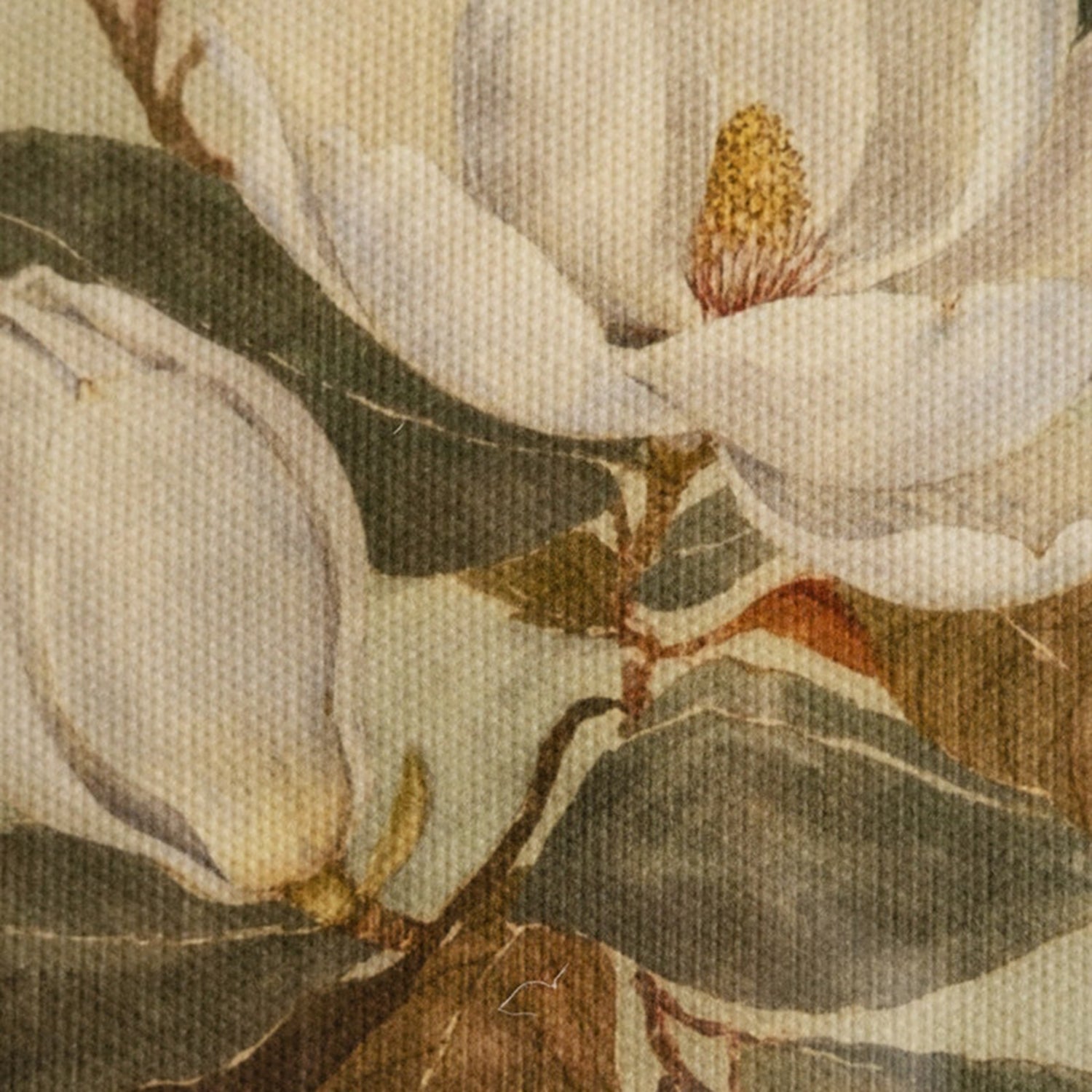 Magnolia Framed Print Under Glass Set of 2
