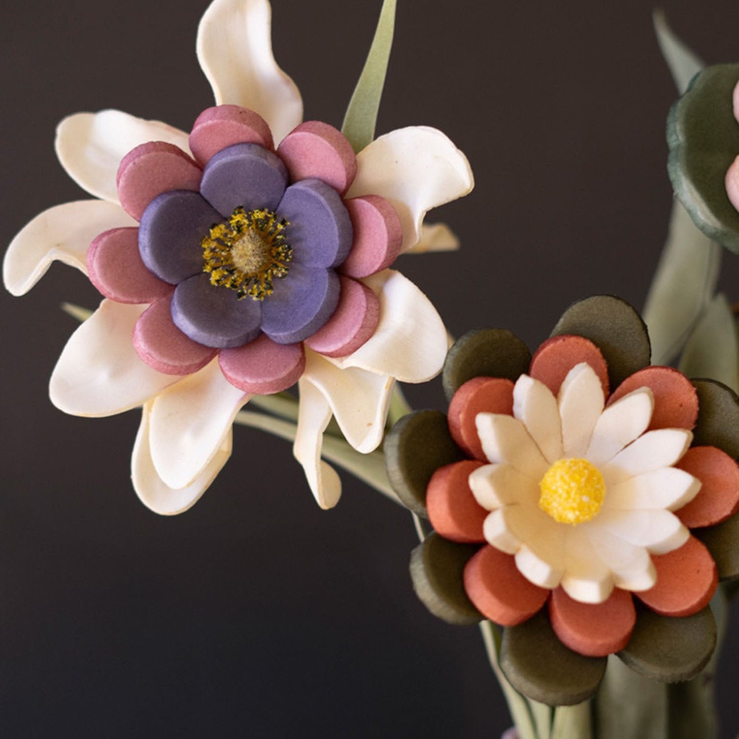 Multi-Colored Botanica Set of 12