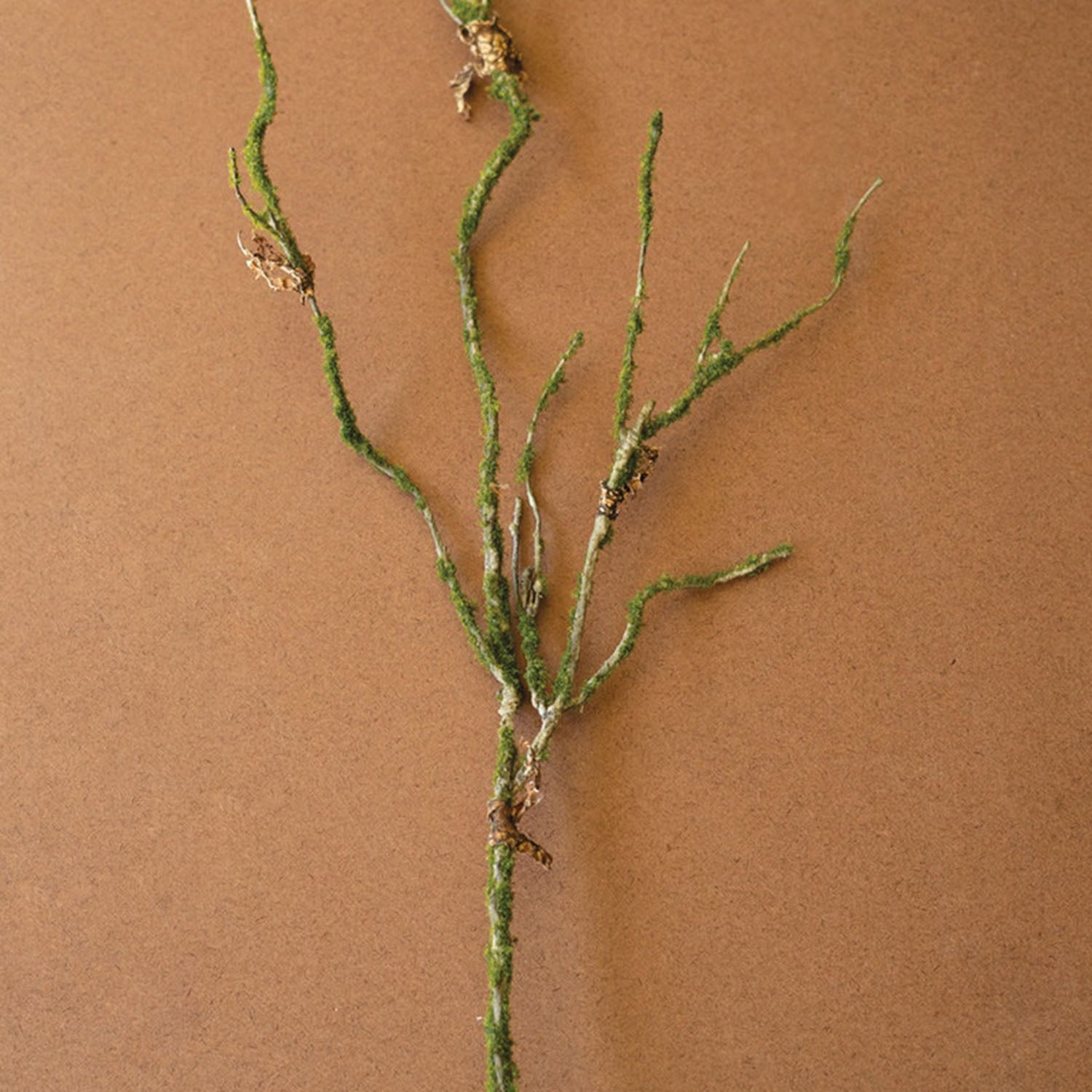 Faux Moss Covered Branch Set of 6