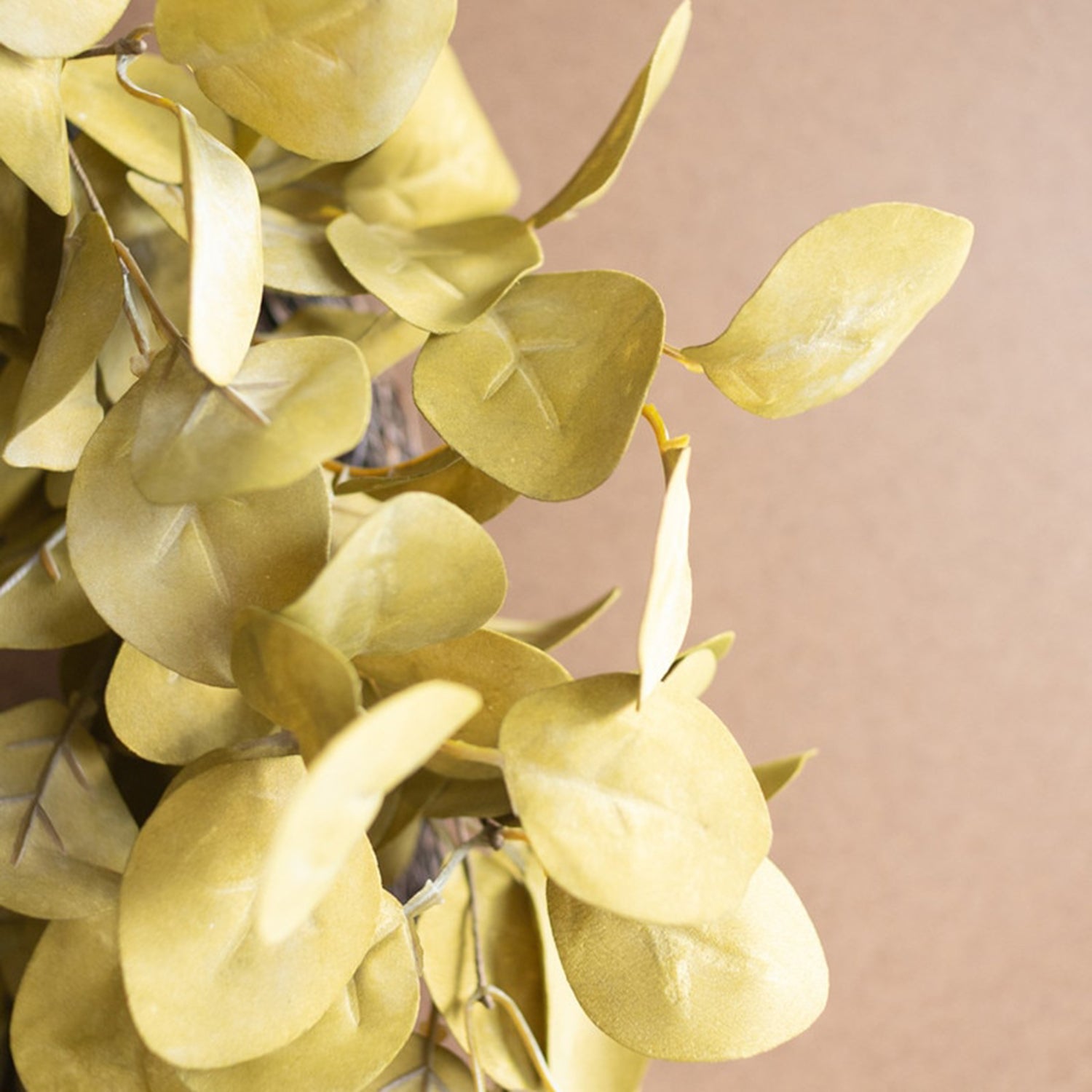 Botanica #9064 Wreath