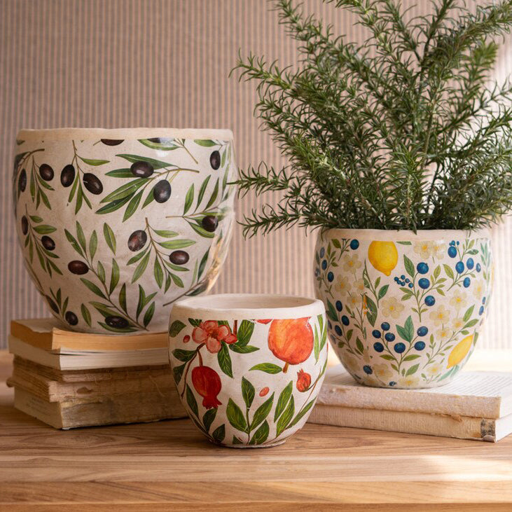 Olives, Lemons and Pomegranates Cement Planter Set of 3