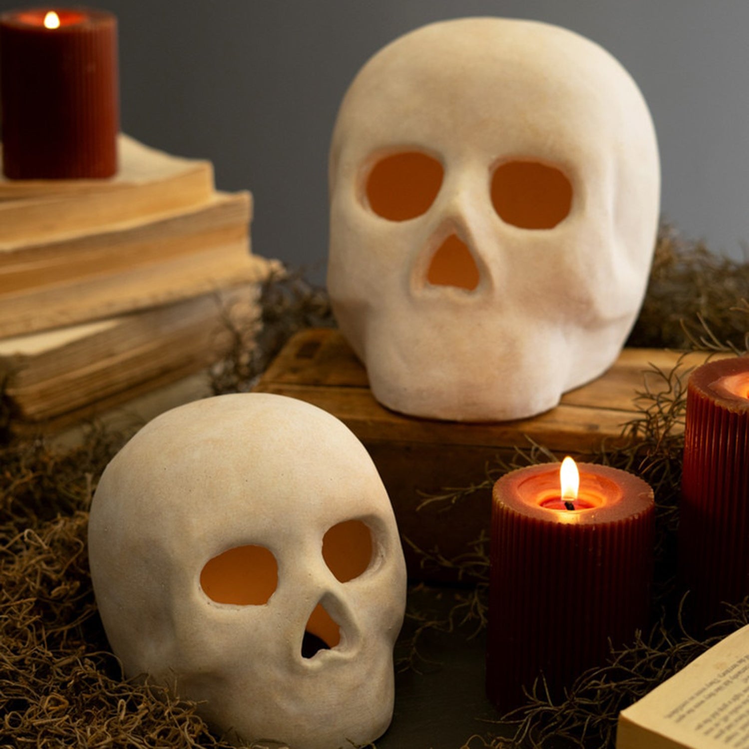 Cement Halloween Skull Set of 2