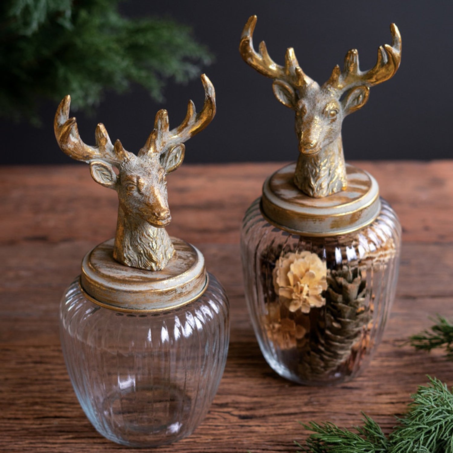 Glass Canisters with Reindeer Top Set of 2
