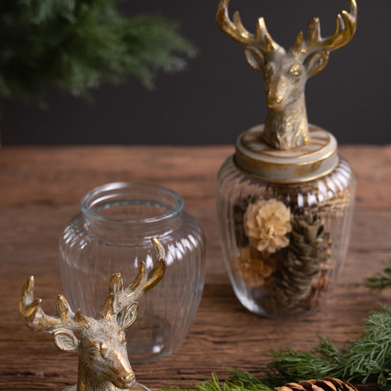 Glass Canisters with Reindeer Top Set of 2