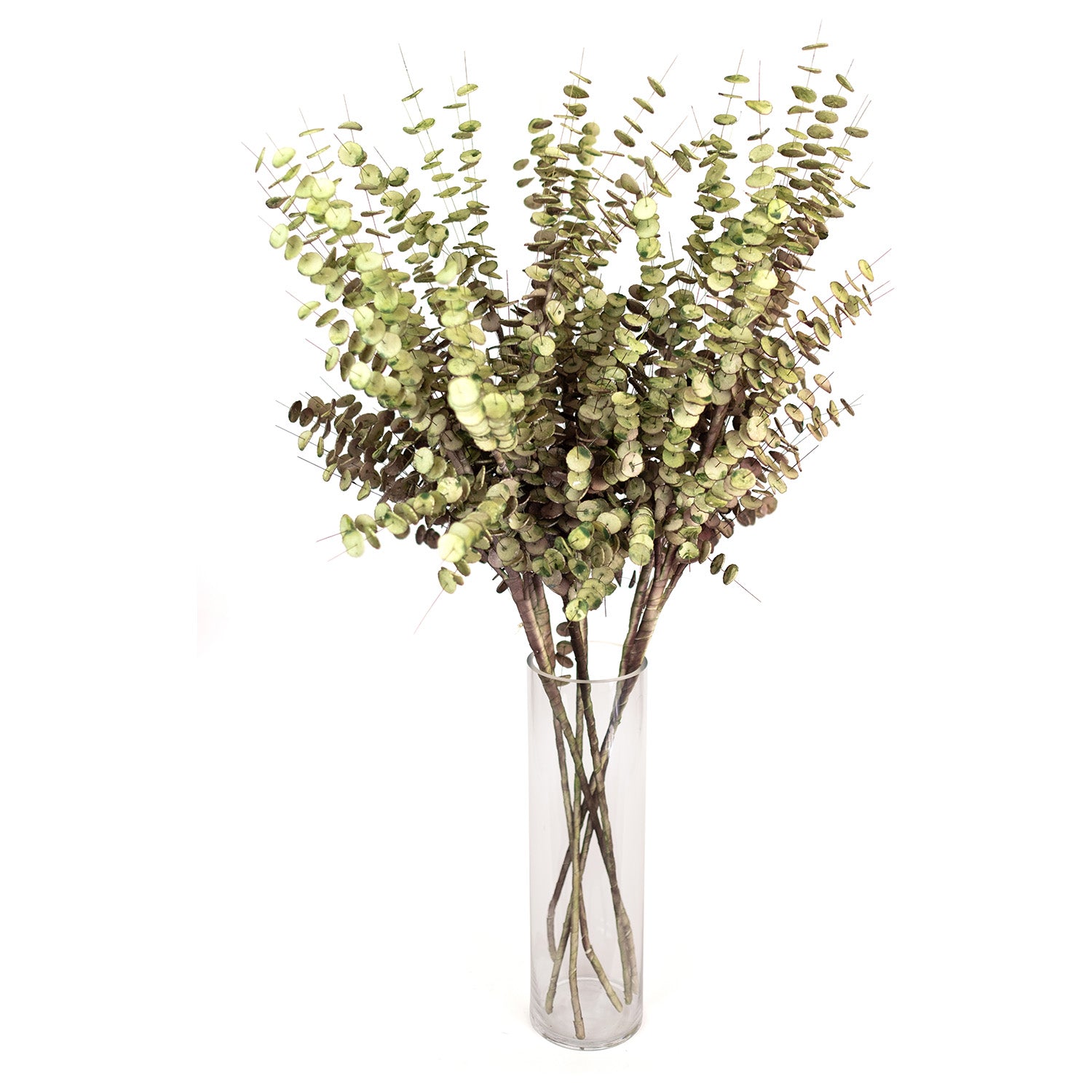 Wispy Florence Faux Plant Stem Set of 6