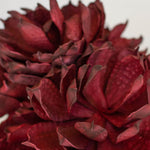 Burgundy Rosette Faux Plant Stem Set of 6
