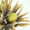 Cactus Bloom Faux Plant Stem Set of 6