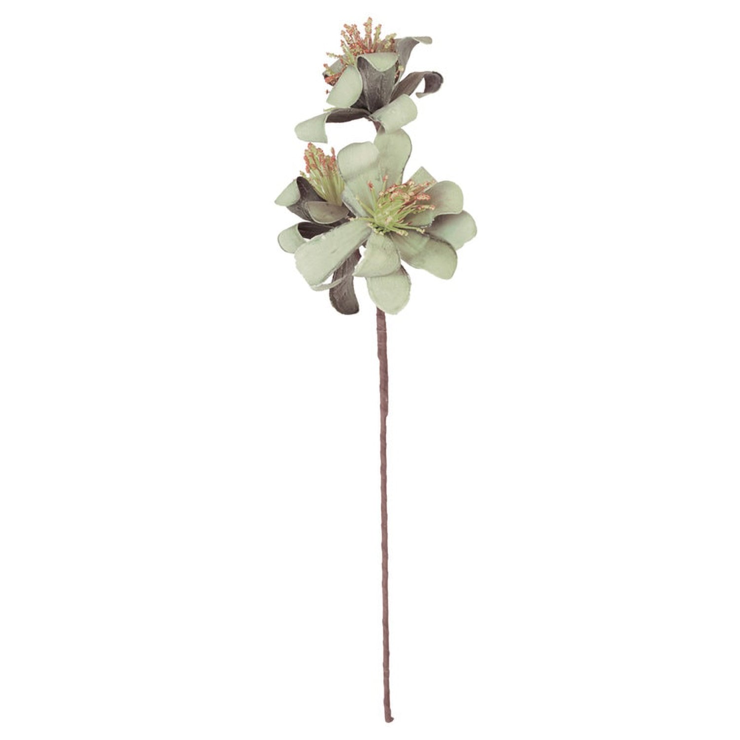 Botanica #3596 Faux Plant Stem Set of 6