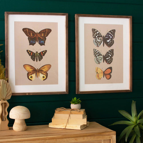 Butterfly Print Framed Art Set of 2