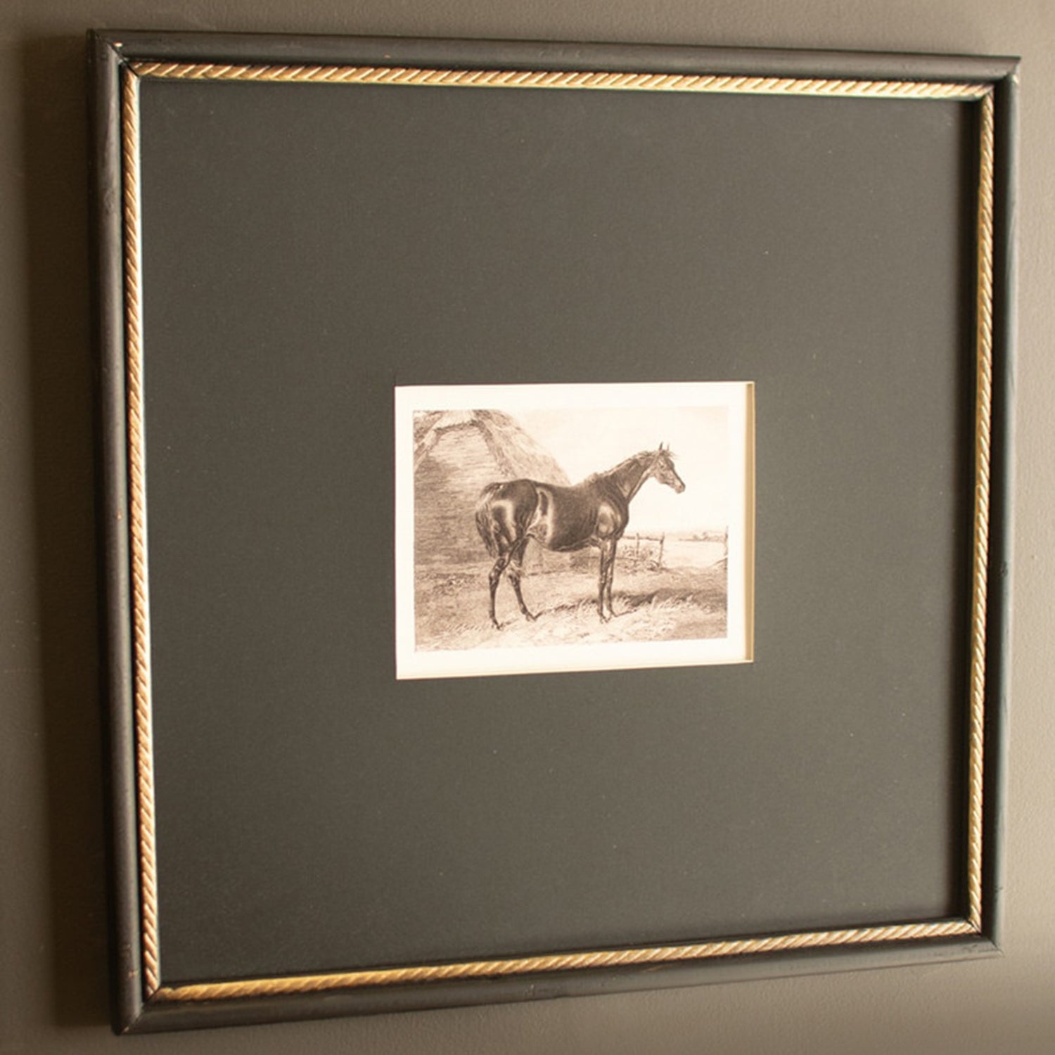 Horses Framed Print Under Glass Set of 2