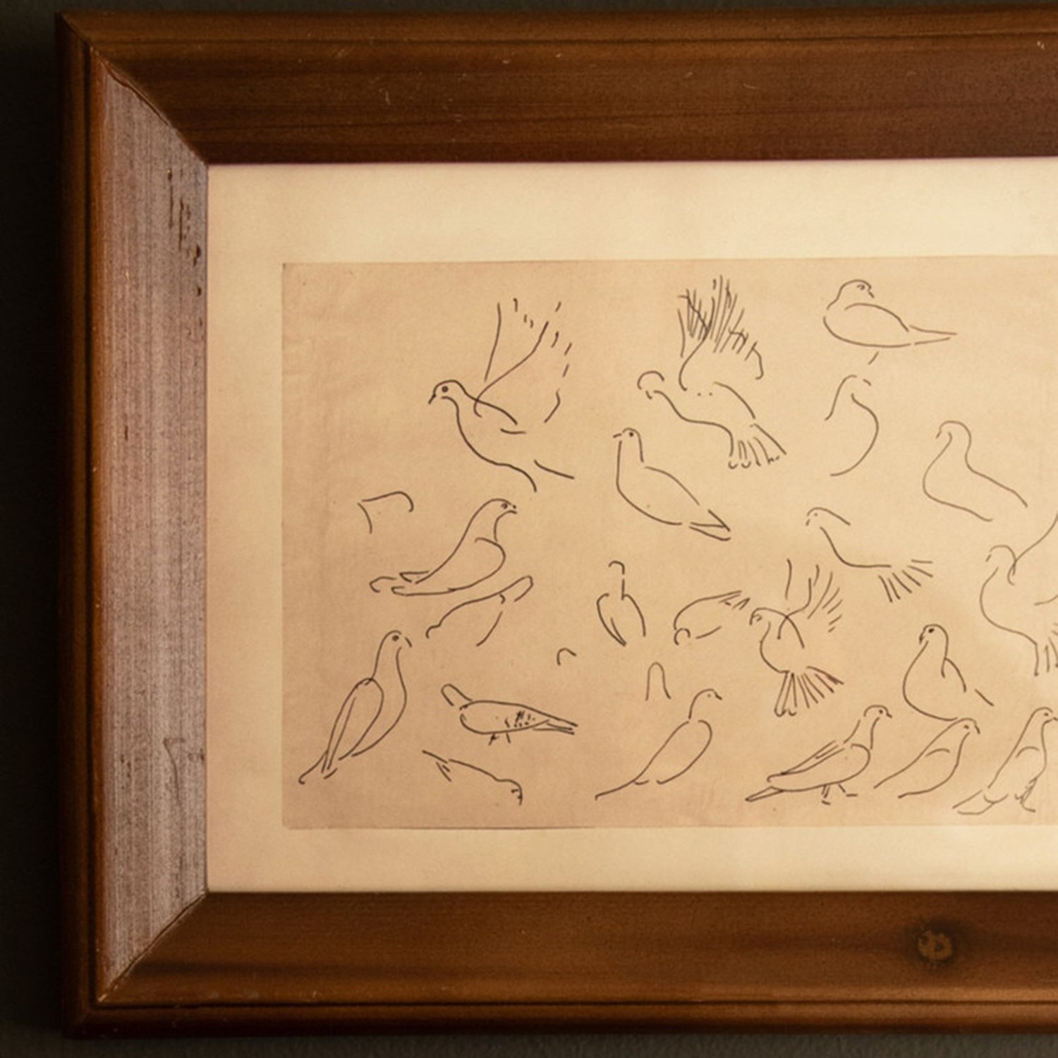 Birds Framed Art Under Glass Set of 3