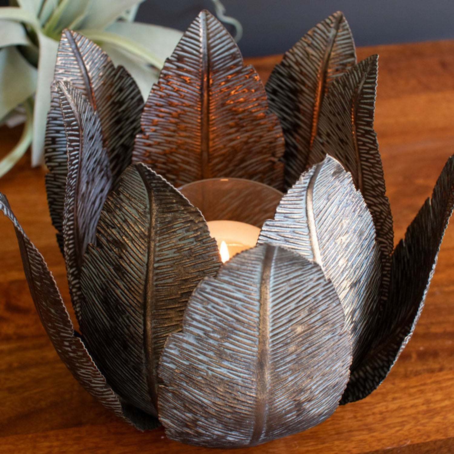 Leaf Base Hurricane