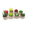 Miniature Succulent Faux Plant Set of 8