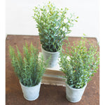 Potted Herb Faux Plant Set of 3