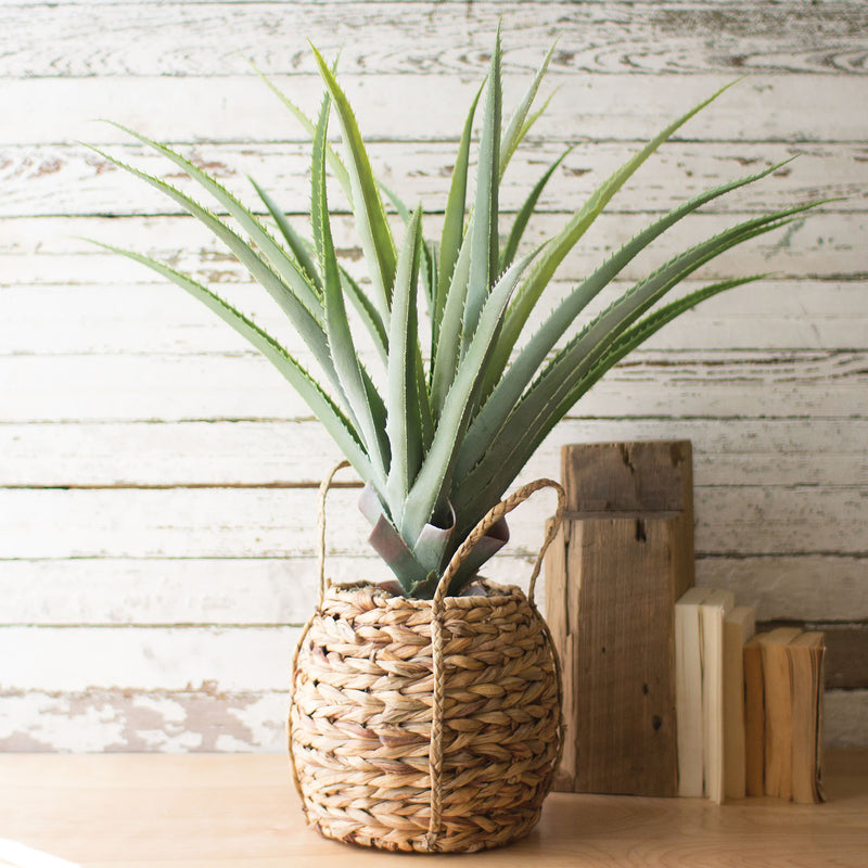 Woven Pot & Aloe Faux Plant