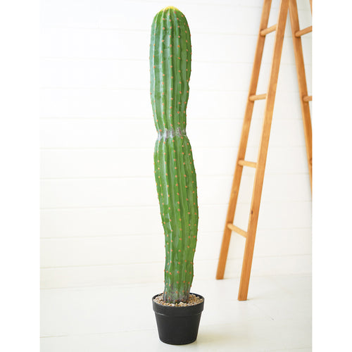 Single Trunk Cactus Faux Plant