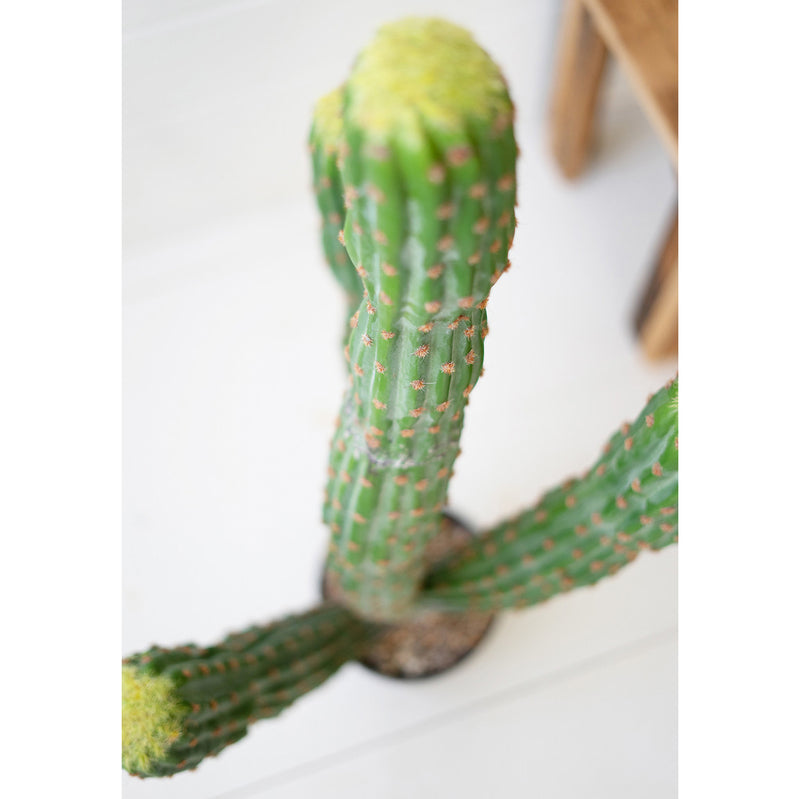 Multi Trunk Cactus Faux Plant