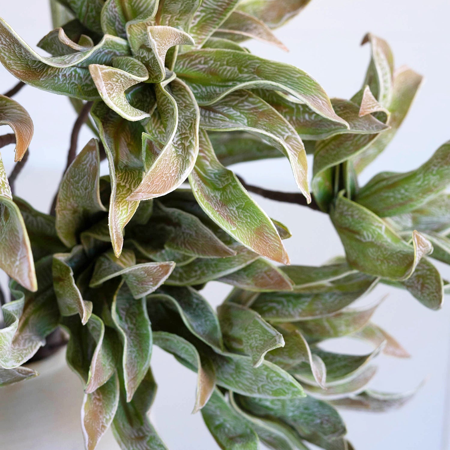 Spiky Green Faux Plant Stem Set of 6