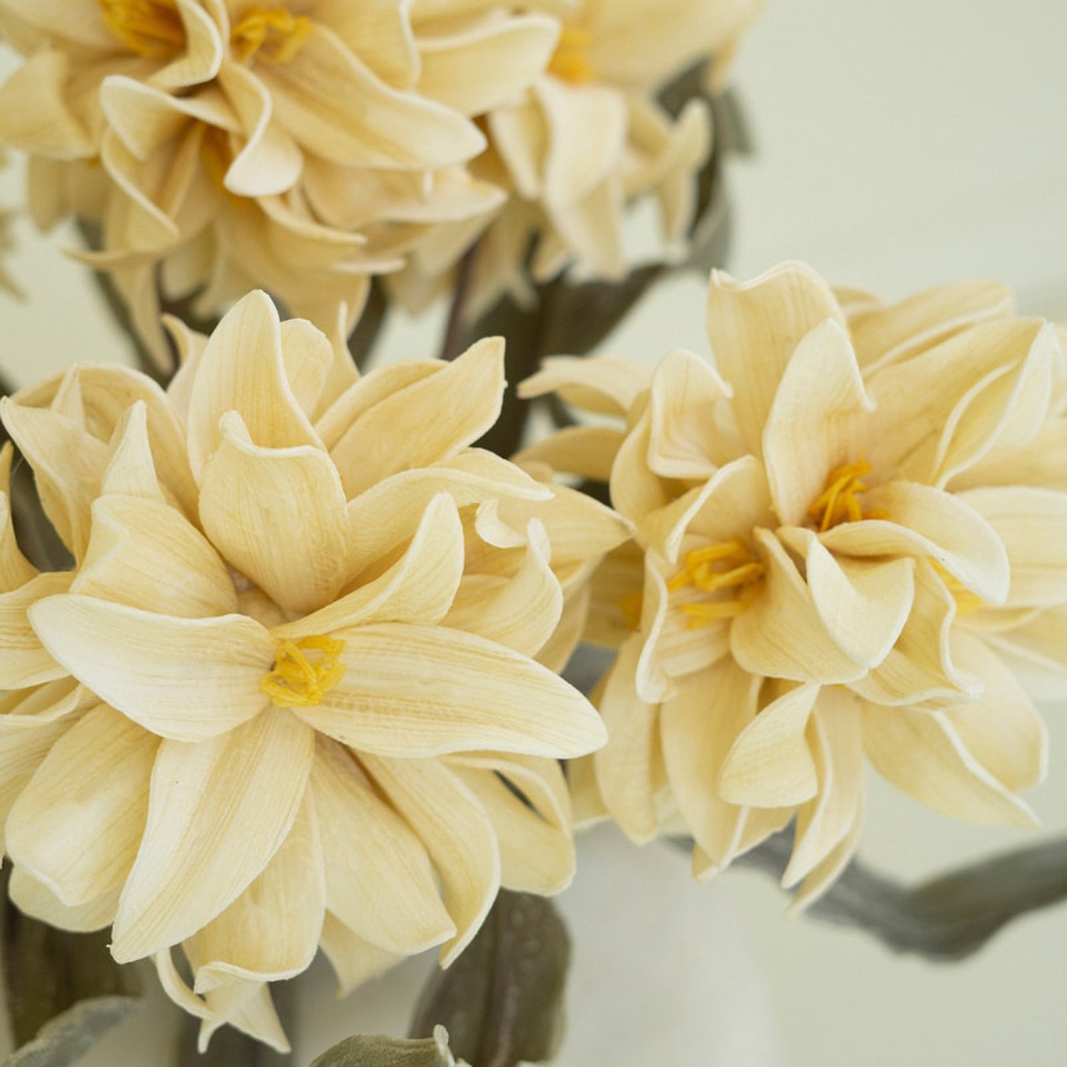 Botanica #2796 Faux Plant Stem Set of 6