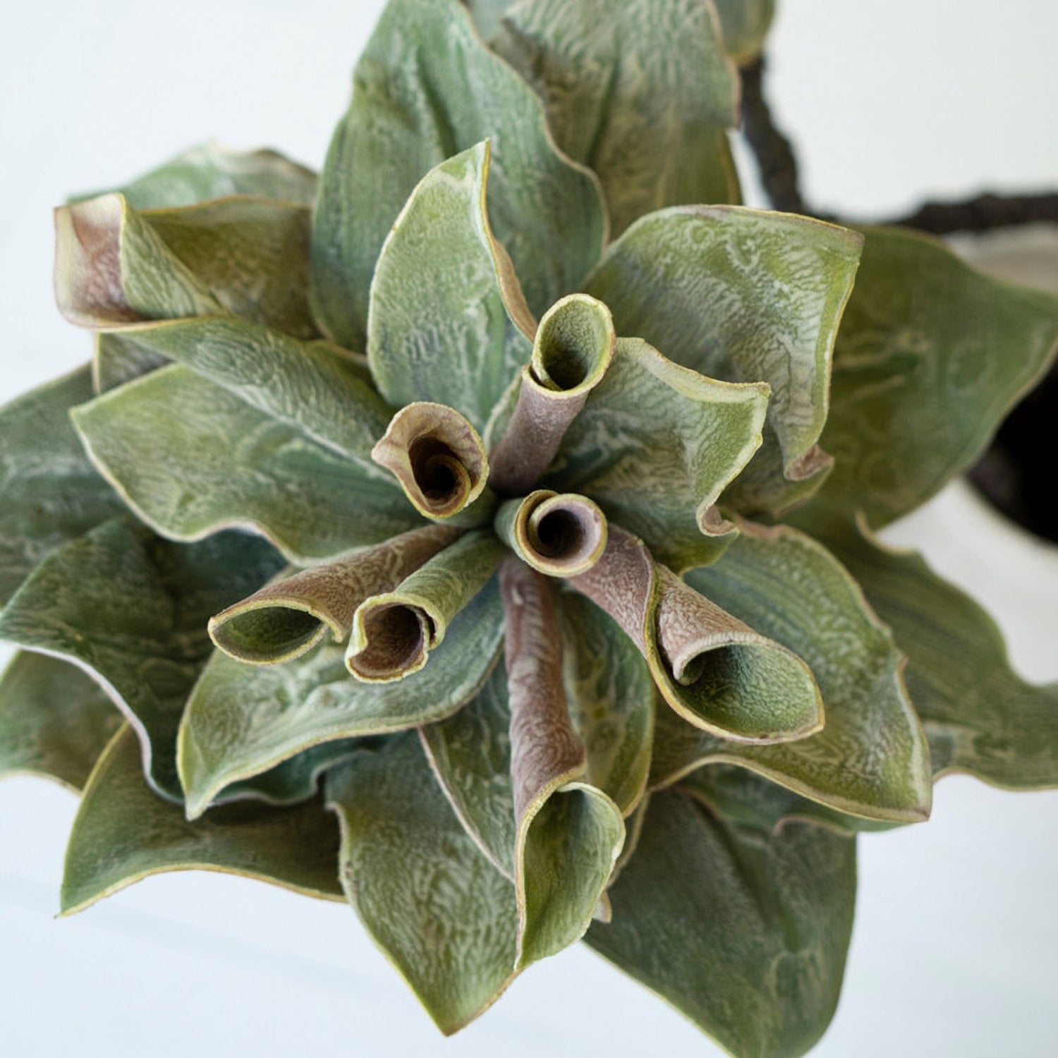 Botanica #2809 Faux Plant Stem Set of 6