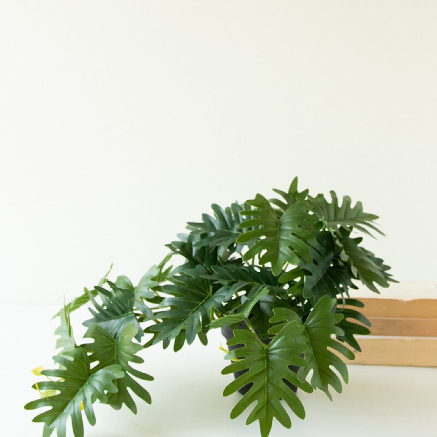 Artificial Mini Philodendron in a Black Plastic Pot