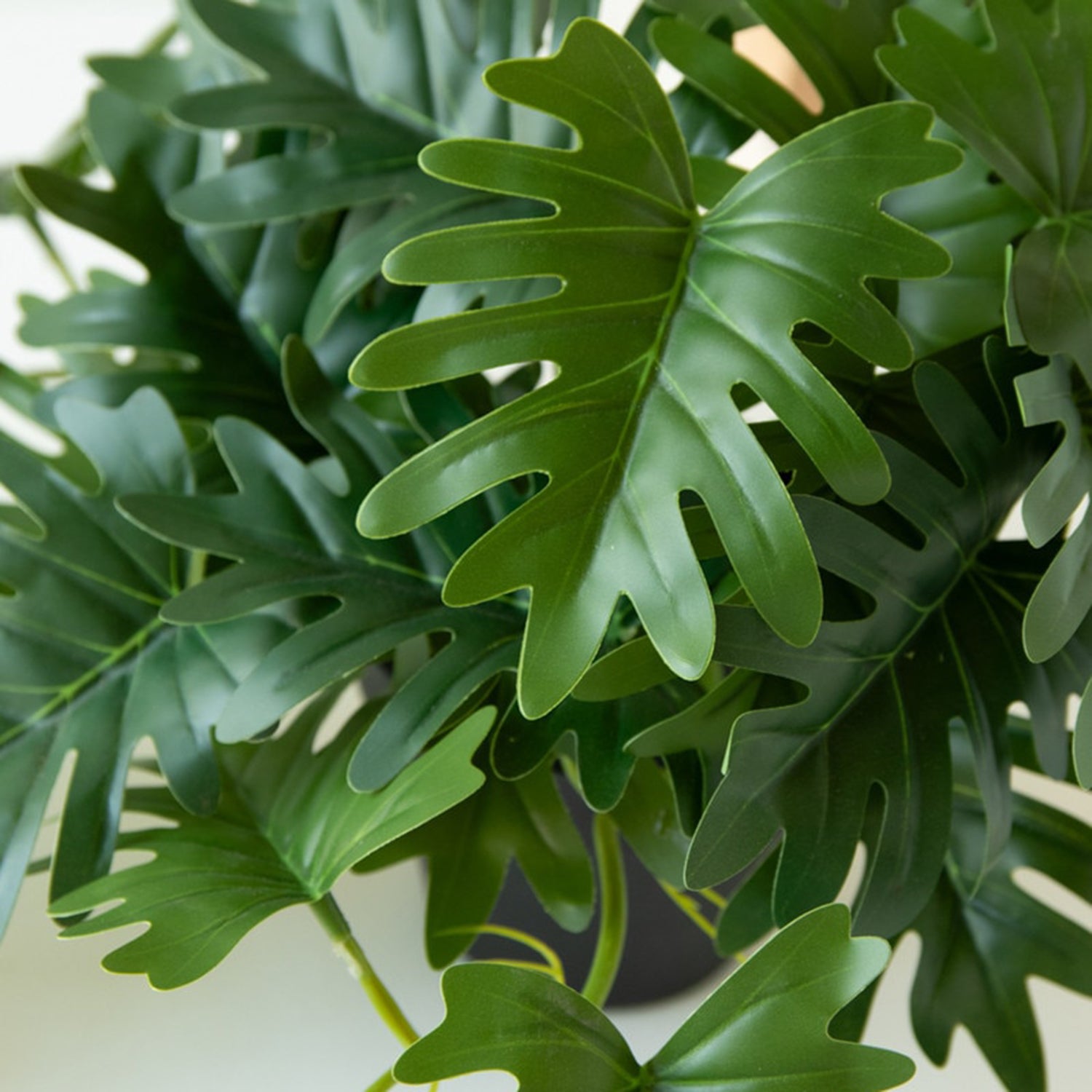 Artificial Mini Philodendron in a Black Plastic Pot
