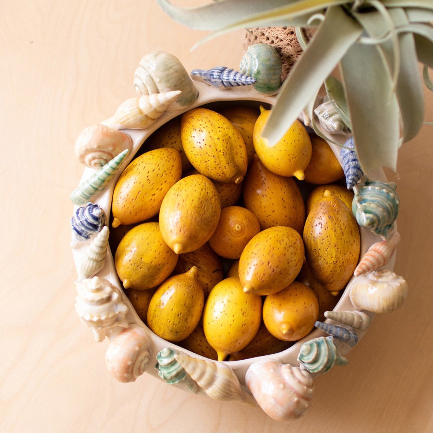 Seashell Bowl