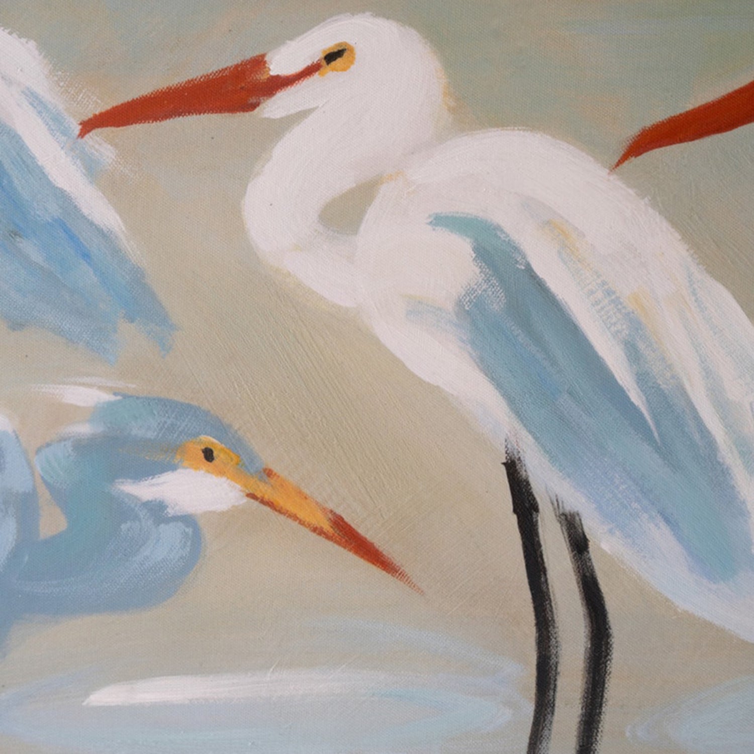 Eight Shore Birds Framed Paint over Print