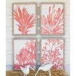 Coral Prints Wall Art Set of 4