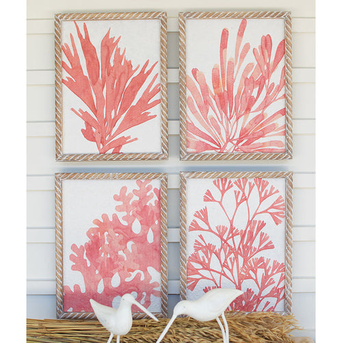 Coral Prints Wall Art Set of 4
