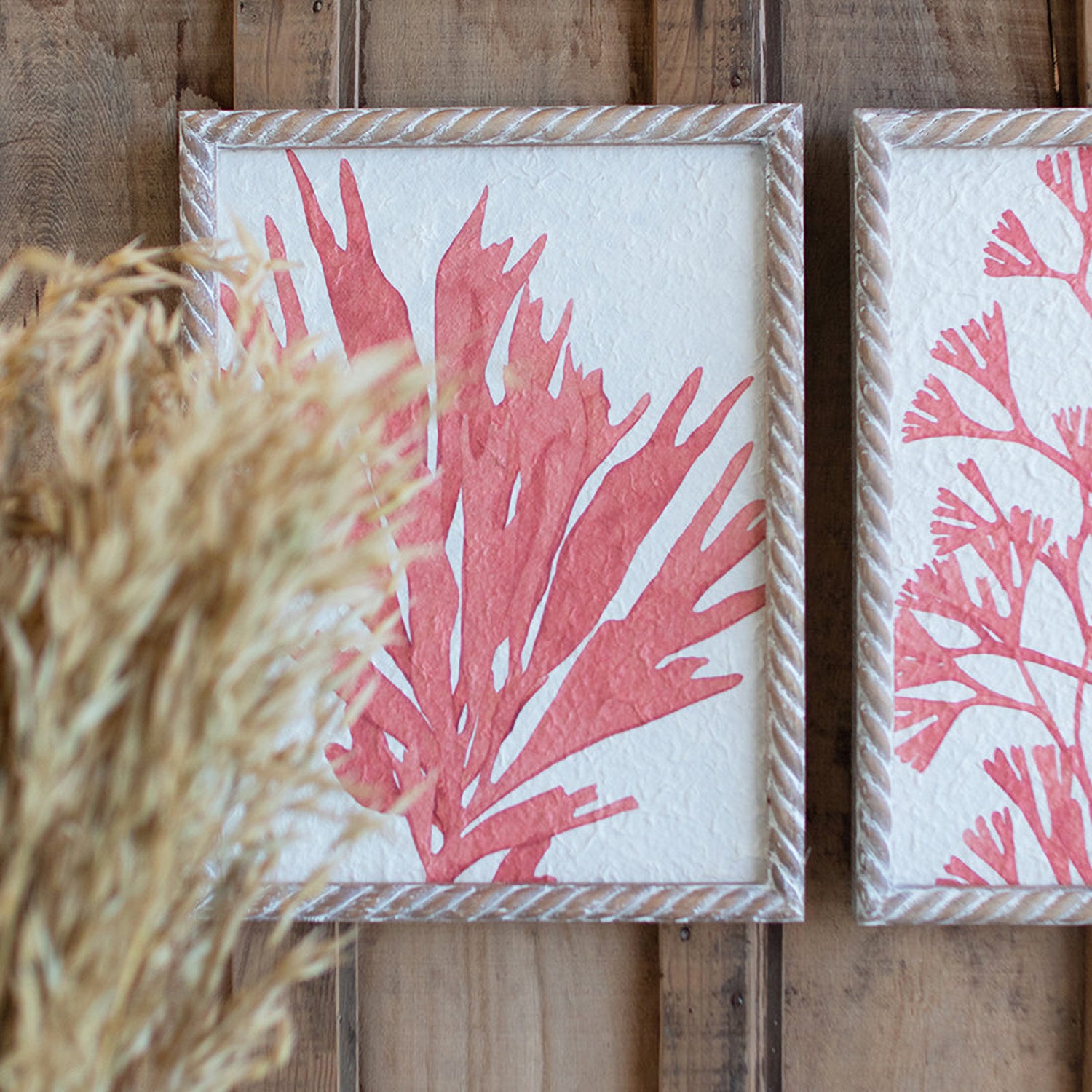Coral Prints Wall Art Set of 4