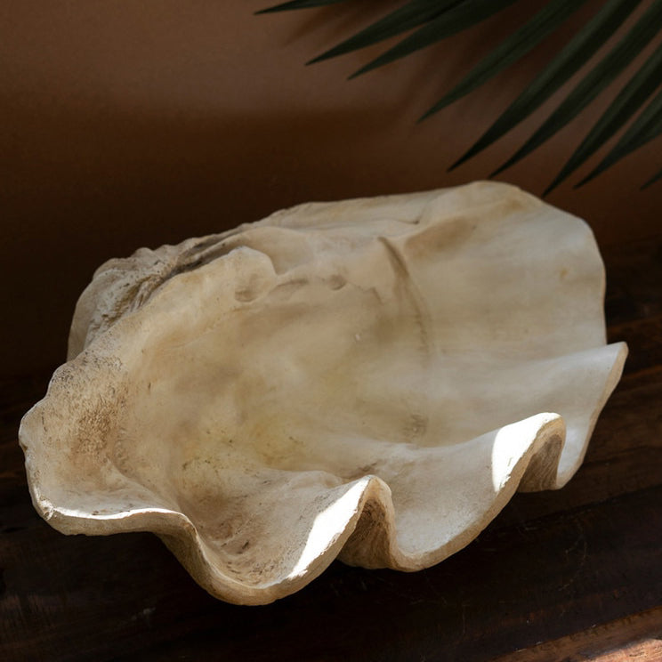 Capsium Shell Giant Resin Clam Shell