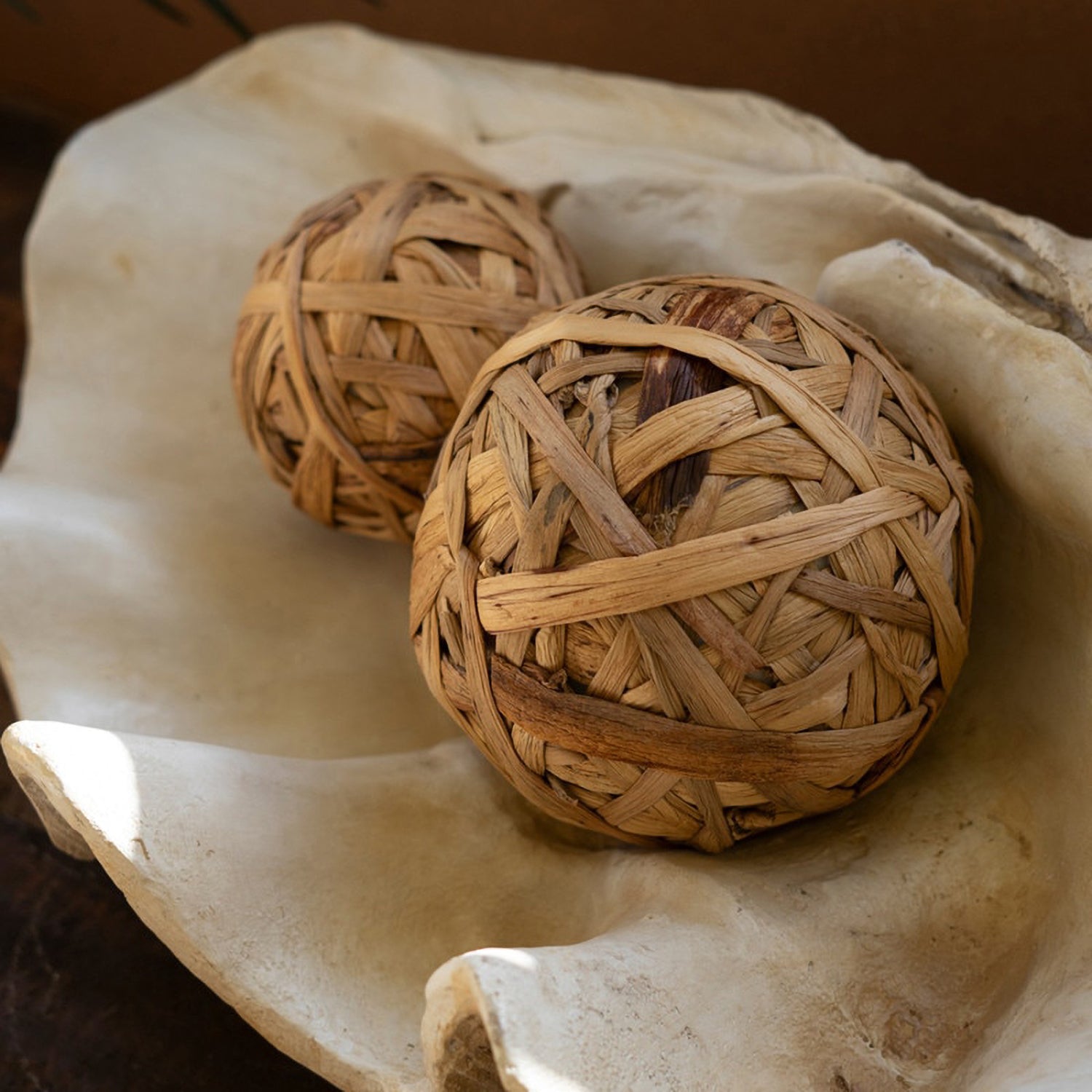 Giant Resin Clam Shell
