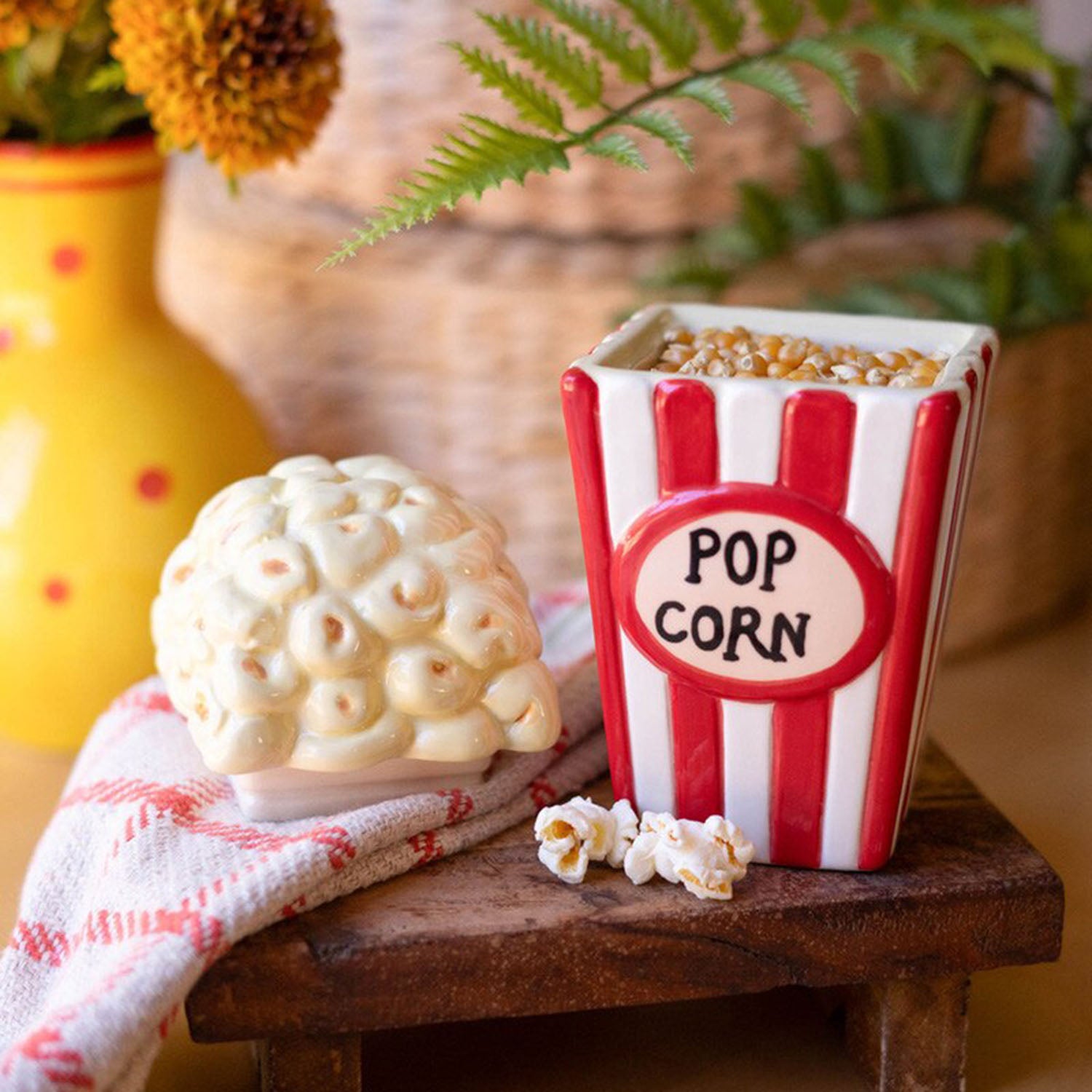 Popcorn Canister