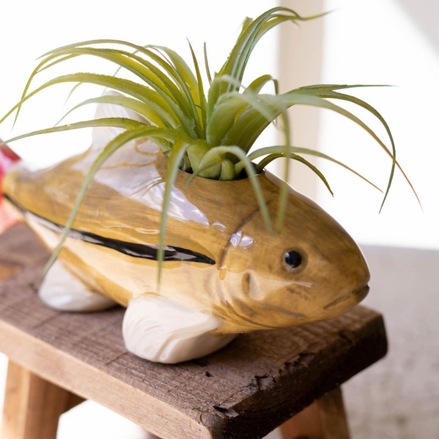 Fish Vase Set of 2