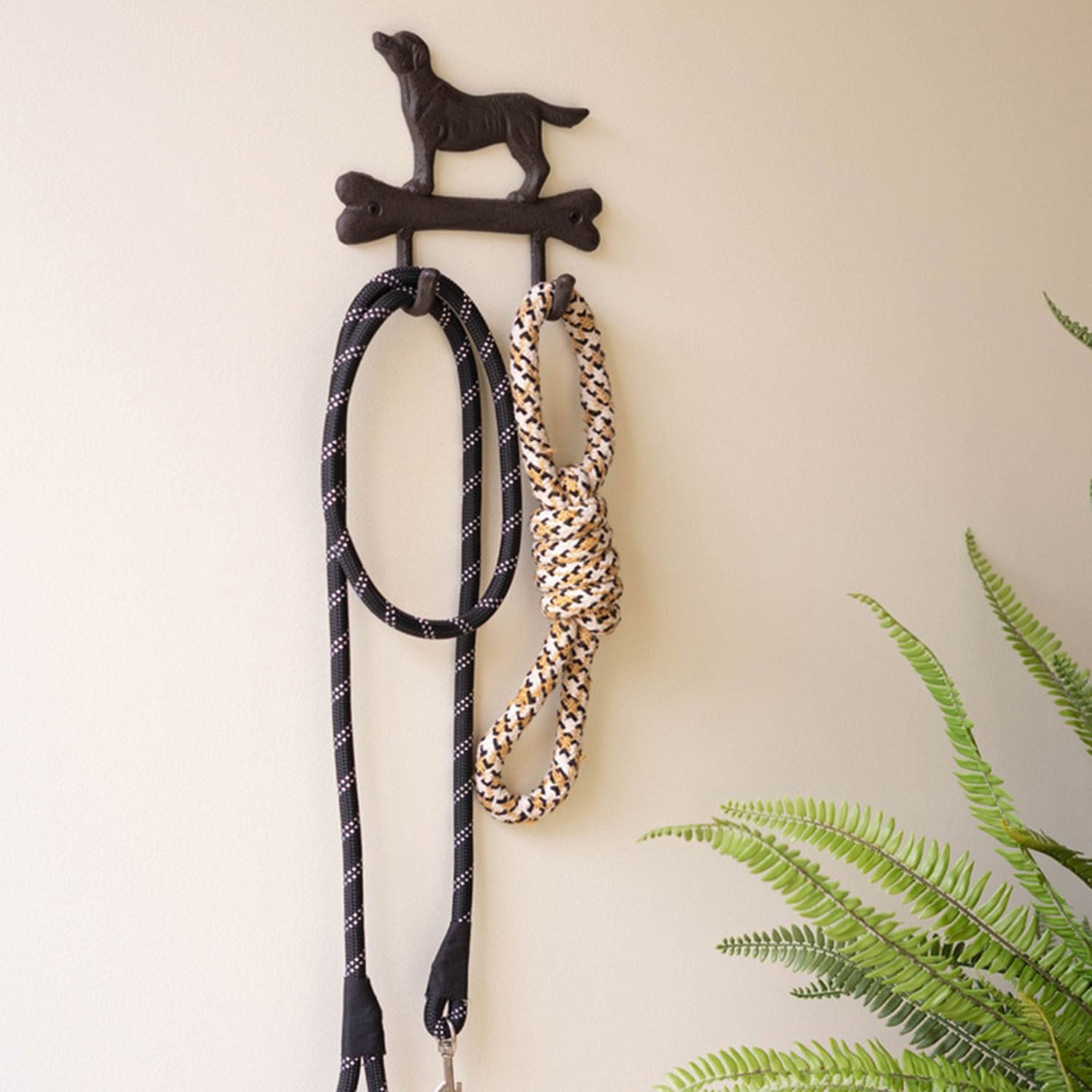 Dog with Bone Wall Hook