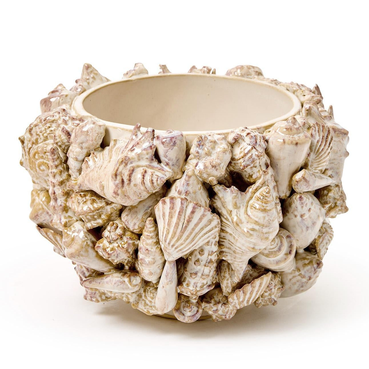 Shell Planter