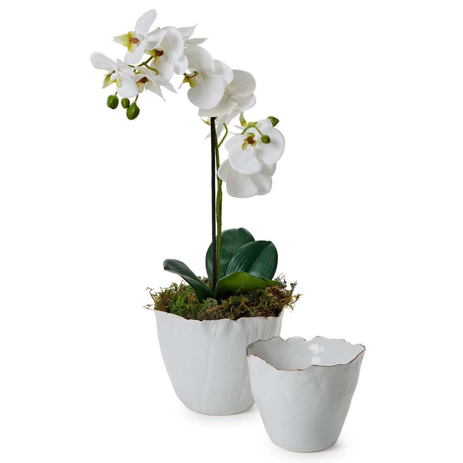 White Free Form Planter Set of 2