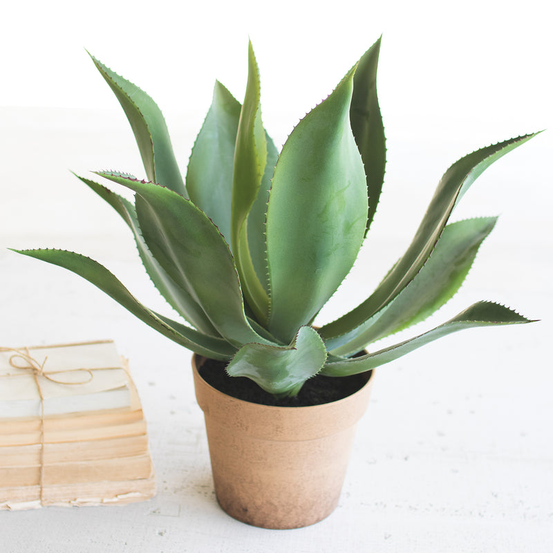 Agave Faux Plant Paynes Gray