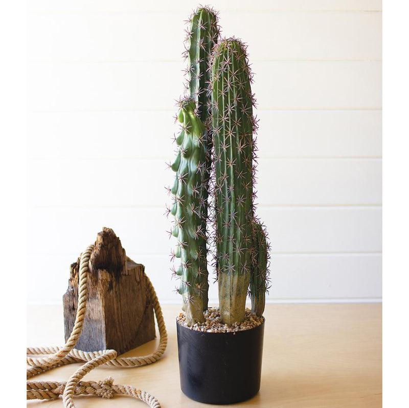 Five Stem Cactus Faux Plant